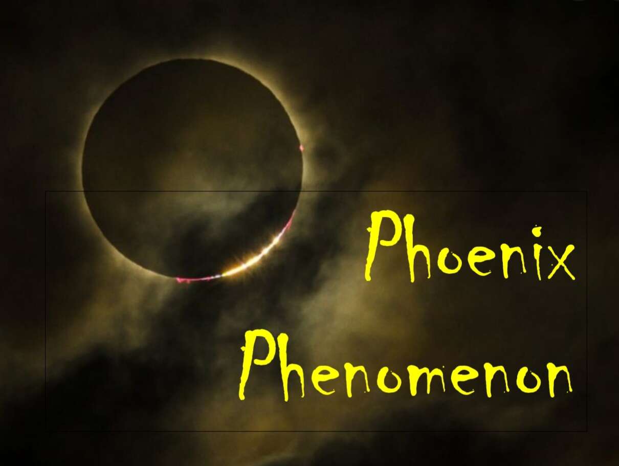 Uploading All Original Phoenix Phenomenon Vids