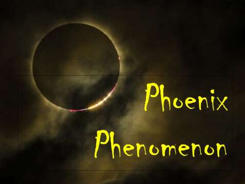 Uploading All Original Phoenix Phenomenon Vids