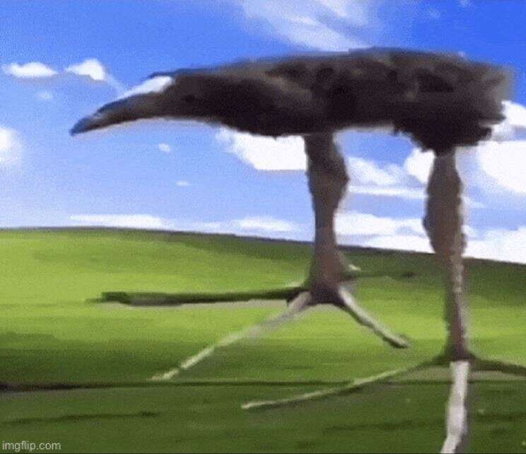 ZAMNNNNNNNNNNNNNNNNNNNNNNNNNNNNNNNNNNNNNNNNNNNN