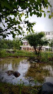 Weiher AVA-INFO