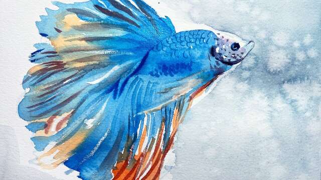 Watercolor painting a betta fish
