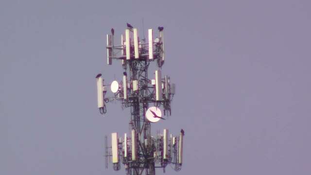 Watching Vultures on the Cell Tower, Memorial Day weekend in Murphy NC (Trigger alert..Boring)