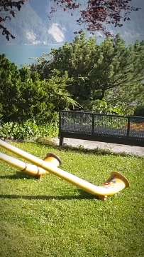 Alphorn corn d'alp AVA-INFO