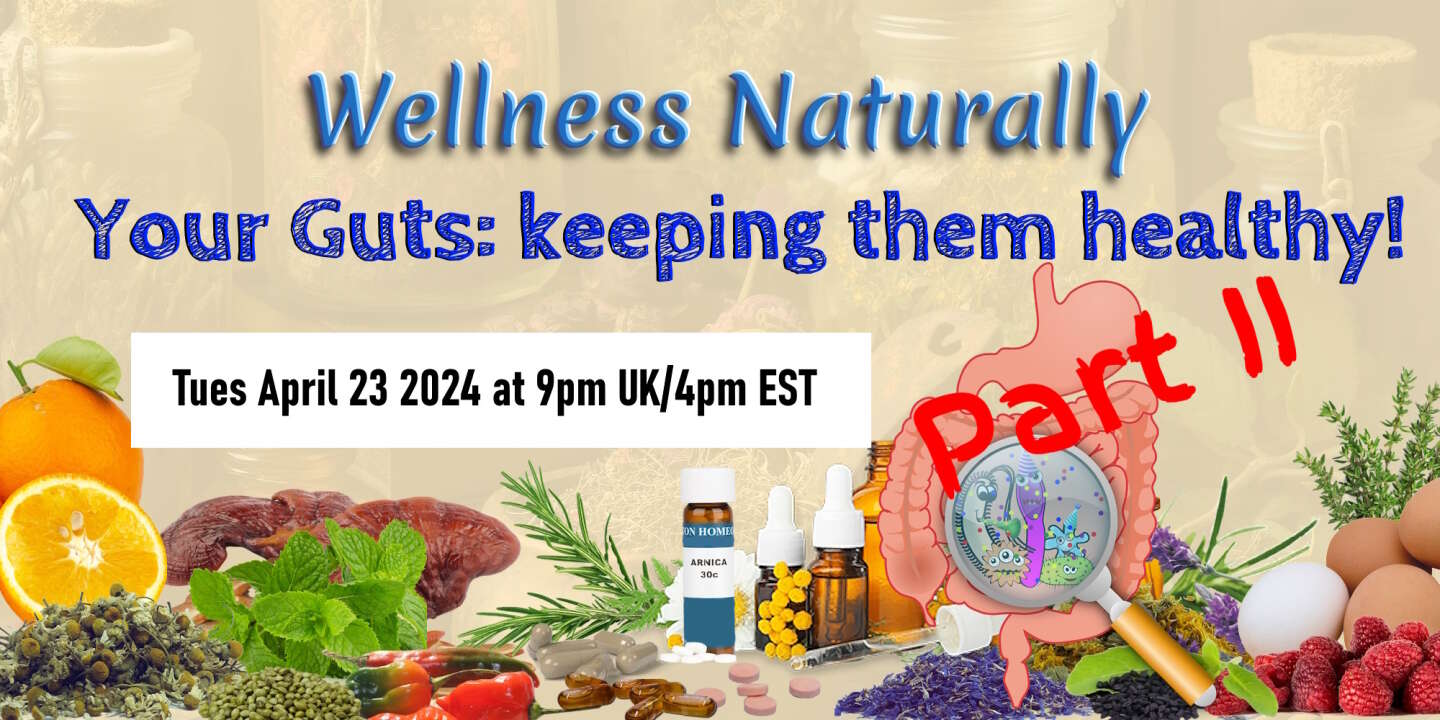 Wellness Naturally: Your Guts part II
