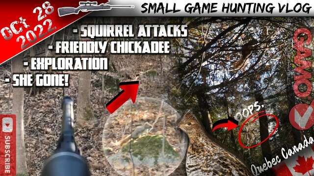 Small game hunting on private land //Squirrels, cool bird and a ''spooker''! {Beginner hunting vlog}