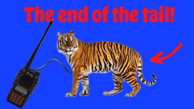 The end of the (tiger) tail!