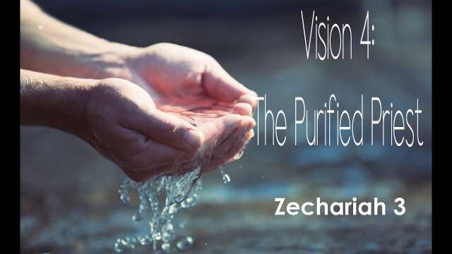 Vision 4: The Purified Priest
