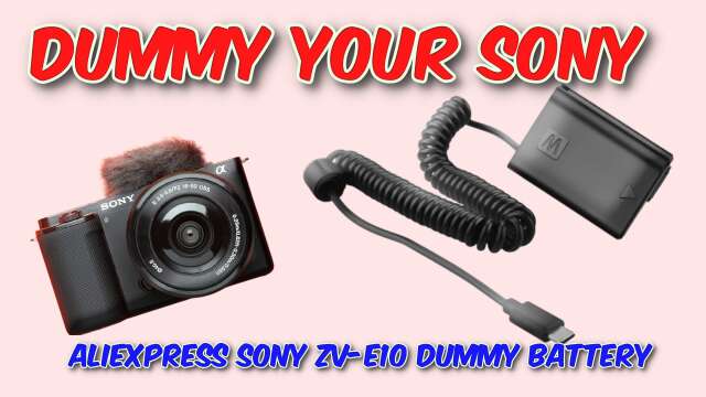 Dummy Sony Battery