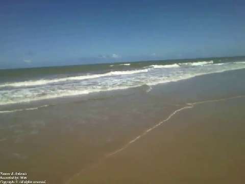 Recording the beach very close, I can feel the sea air breeze on my face! [Nature & Animals]