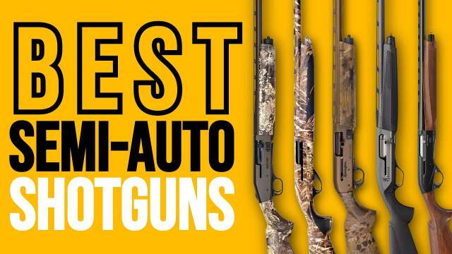 Best Semi-Auto Shotguns of 2023