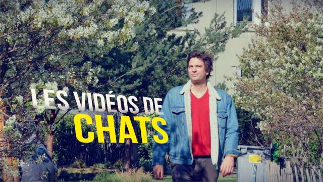 Les Vidéos de Chats #3 - Chaussures Véganes