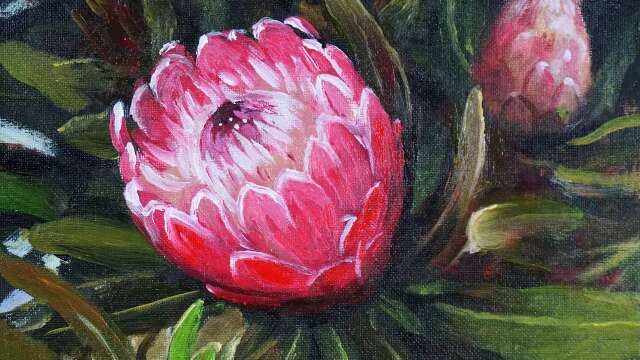 Acrylic painting red protea flowers