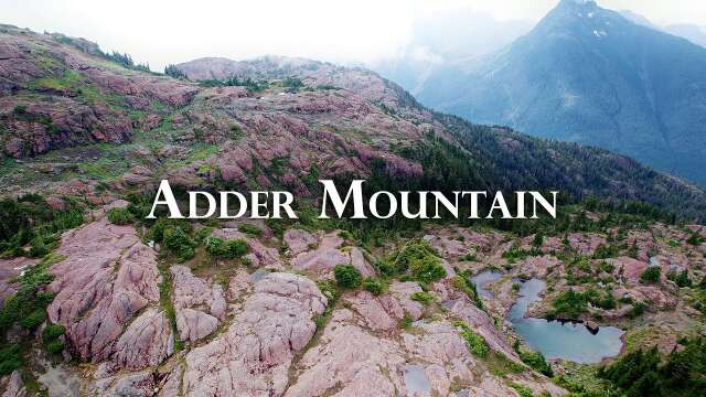 Silent Hiking Alpine Rainforest of Vancouver Island | Adder Mountain