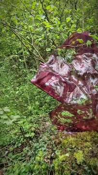 Leichtigkeit des Glasi AVA-INFO