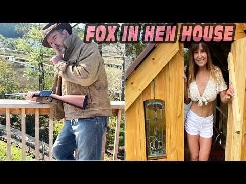 Fox In The Hen House!