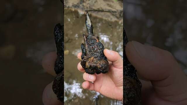 Whoa! Relics Cluster Found #findinghistory #metaldetecting #minelabmanticore #mudlarking #shorts