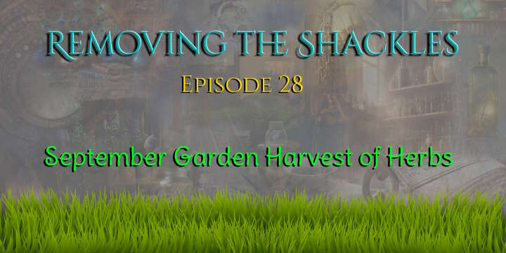 RTS Ep 28:  September Garden Harvest of Herbs