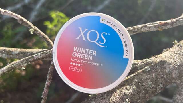 XQS Wintergreen (Nicotine Pouches) Review