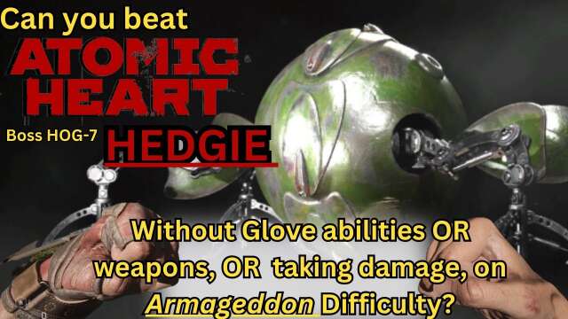 Can you beat HEDGIE  Without Glove Abilities OR weapons OR taking damage on ARMAGEDDON difficulty?