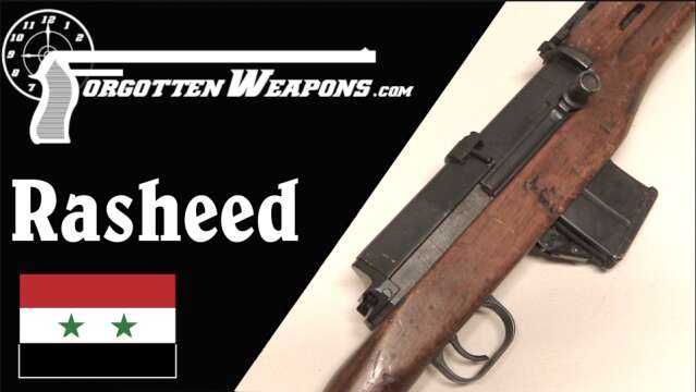 The Rasheed: Egypt's Semiauto Battle Carbine From Sweden
