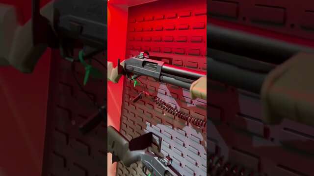 The Palmetto State Armory, 570. A cool prototype shotgun that PSA will make if enough of you like it