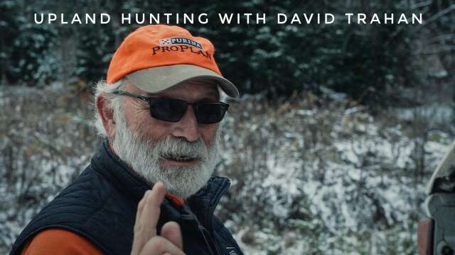 David Trahan - Upland Hunting Guide from Lopstick Outfitters Pittsburg, New Hampshire