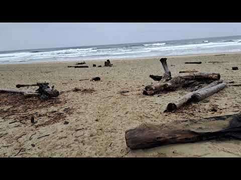 Lincoln City, OR. Beach walking and looking for Whales. 4/6/2023 @cityoflincolncityoregon769