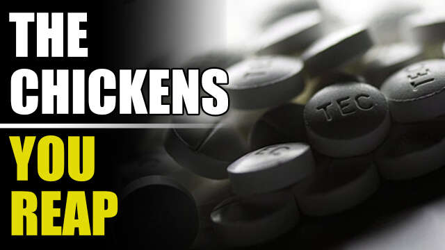 The Chickens Have Come to Reap [21/4/25]