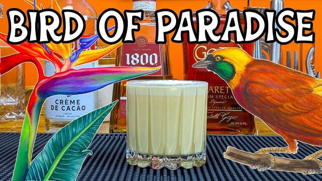 Bird Of Paradise Cocktail - You Must Try This Easy Cocktail Drink Recipe At Home