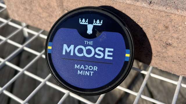 The Moose Major Mint Snus Review