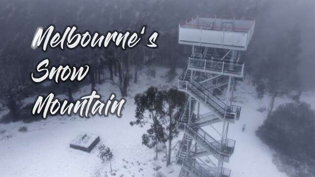Guide to the closest 🗻 Snow Mountain in Melbourne | Mt Donna Buang