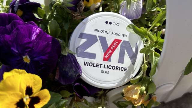 Zyn Violet Licorice (Nicotine Pouches) Review