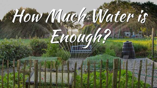 How Much Water is Enough?