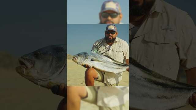 "Want to know how to reel in a whopping 30lb roosterfish while surf fishing in Cabo San Lucas?