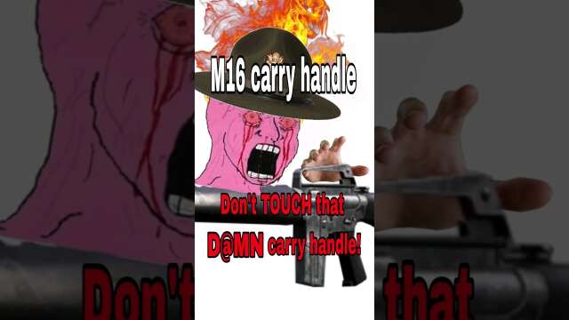 M16 carry handle "don't touch that carry handle!" #ar #m16 #shorts #vietnam #carryhandlegang