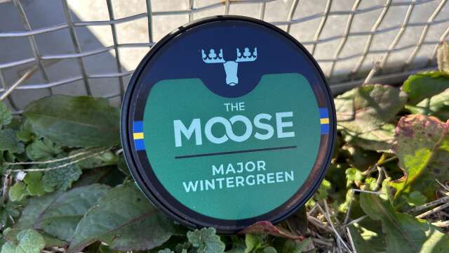 The Moose Major Wintergreen Snus Review