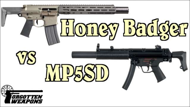 Can the Honey Badger a Replace the MP5SD?