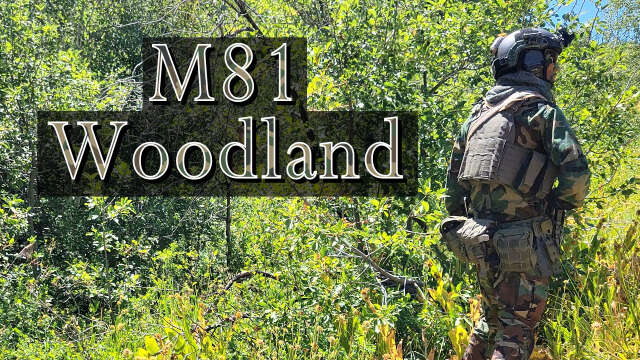 M81 Woodland Camouflage Effectiveness