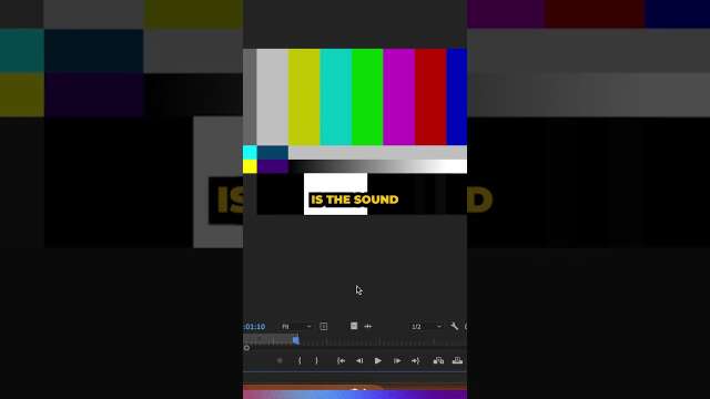 The ONLY WAY To CENSOR [EXPLICIT] CONTENT in PREMIERE PRO