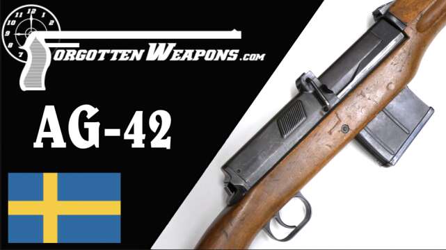 AG42 Ljungman: Sweden Adopts a Battle Rifle in WWII