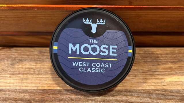 The Moose West Coast Classic Snus Review