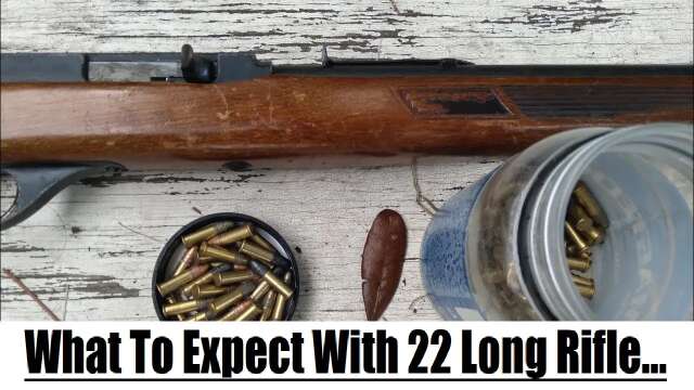 The Pros and Cons of 22LR