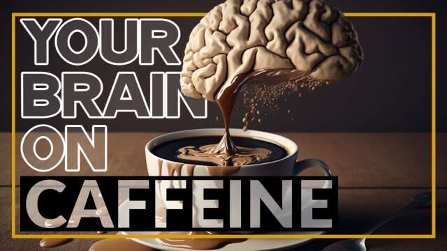 Caffeine's Impact on the Brain: The Neuroscience Behind Your Morning Boost