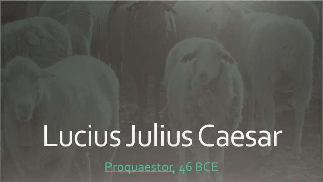 Lucius Julius Caesar, Proquaestor 46 BCE