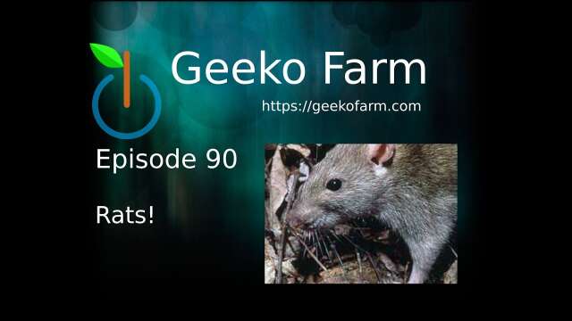 Episode 90 - Rats