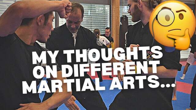 I tried 5 Diff Traditional Martial Arts & here are my thoughts...