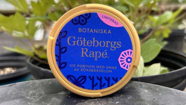 Göteborgs Rapé Botaniska (2024 Ltd Ed White Portion) Review