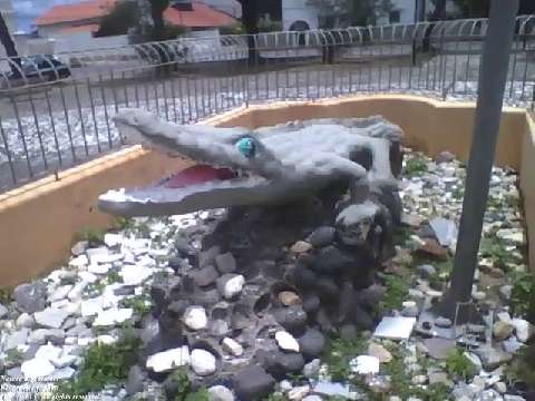 Amazing stone sculpture of an alligator in the square, look the teeth! [Nature & Animals]