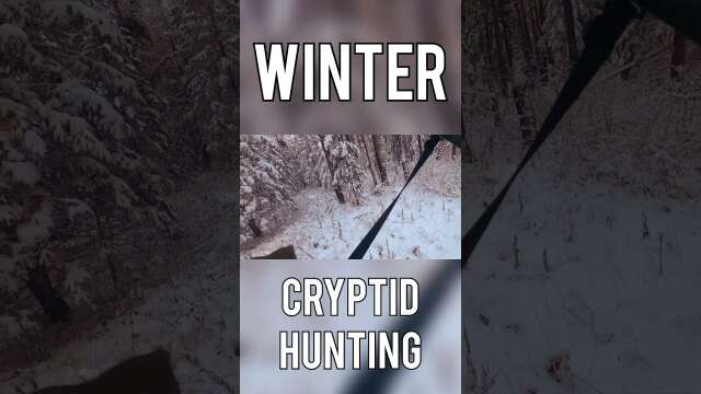 WINTER CRYPTID HUNTING SEASON #skyrim #spooky #bigfoot #unknown #guns #hunting #cool #backpacking