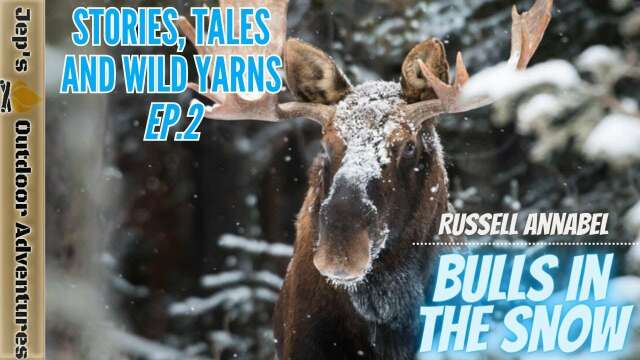 Russell Annabel: Bulls In The Snow | Stories, Tales and Wild Yarns! Ep.2